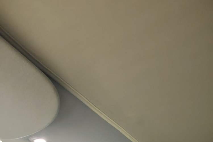 Used Tesla Model 3 2023 Rear-Wheel-Drive Version Headliner