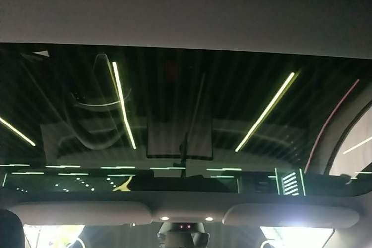 Used Tesla Model 3 2023 Rear-Wheel-Drive Version Headliner