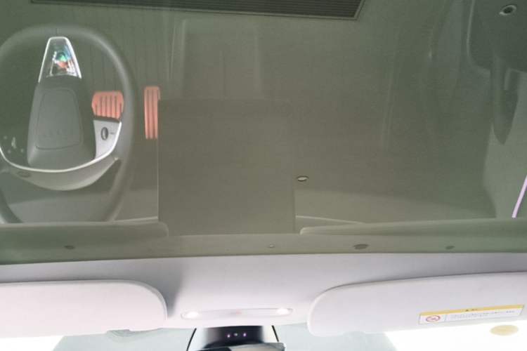 Used Tesla Model 3 2023 Rear-Wheel-Drive Version Headliner