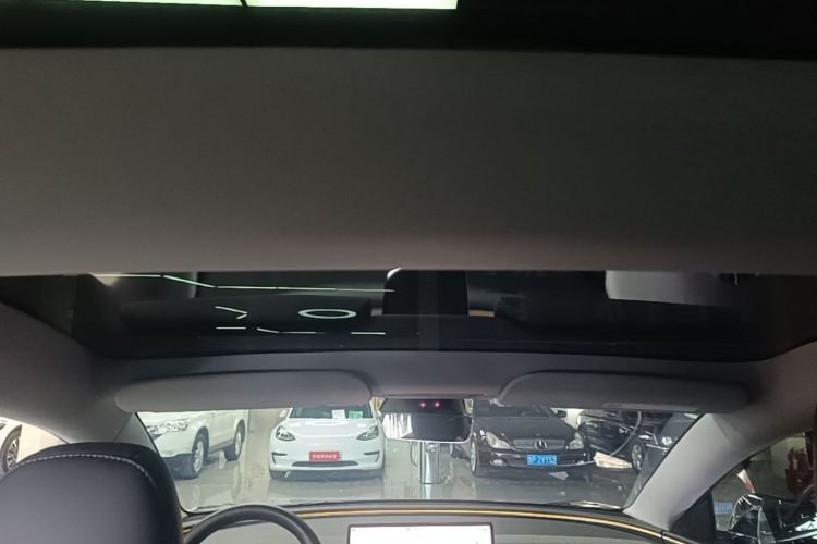Used Tesla Model 3 2023 Rear-Wheel-Drive Version Headliner