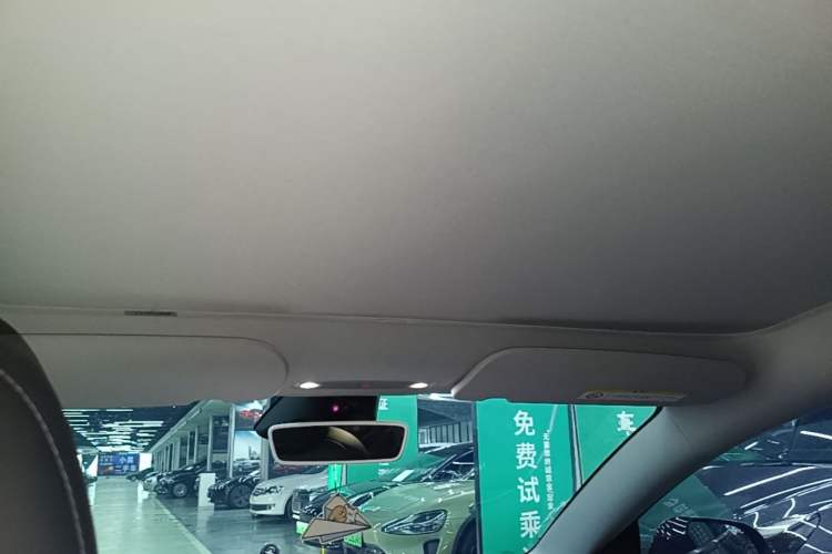Used Tesla Model 3 2023 Rear-Wheel-Drive Version Headliner