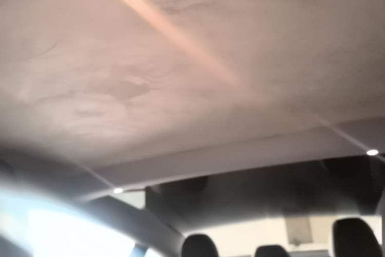 Used Tesla Model 3 2023 Long-Range All-Wheel-Drive Version Headliner