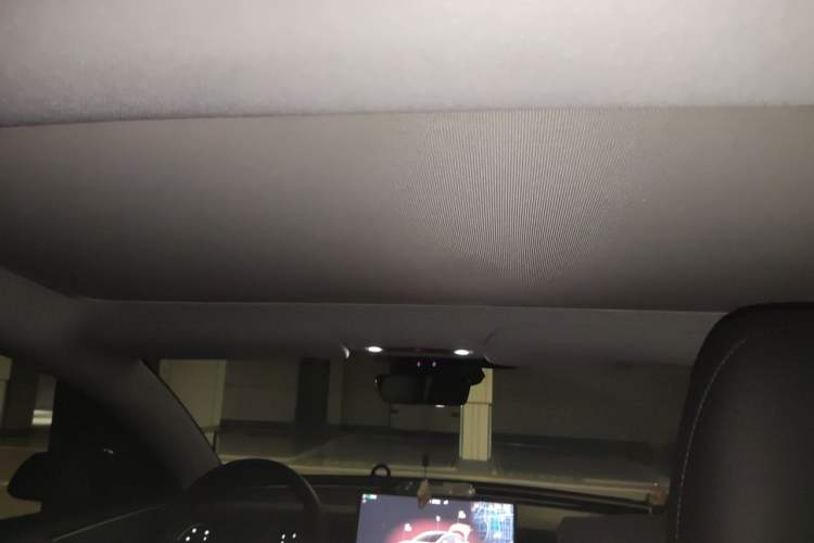 Used Tesla Model 3 2023 Rear-Wheel-Drive Version Headliner