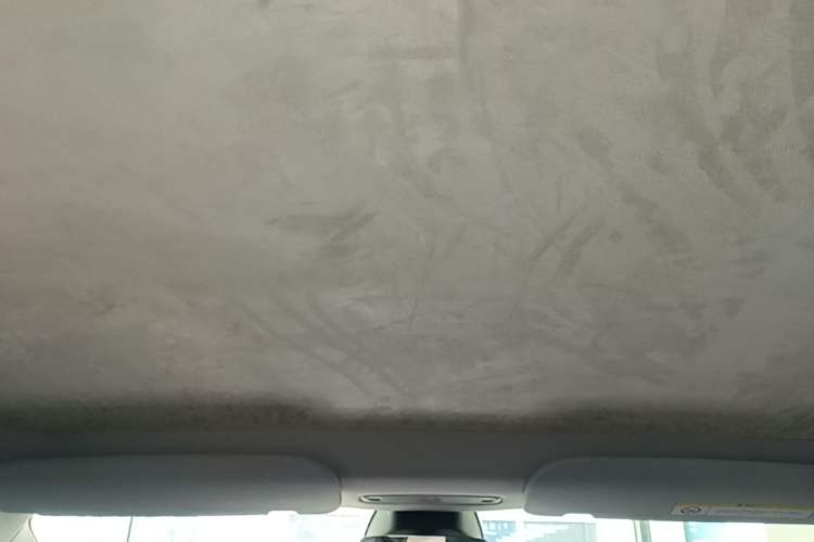Used Tesla Model 3 2023 Rear-Wheel-Drive Version Headliner