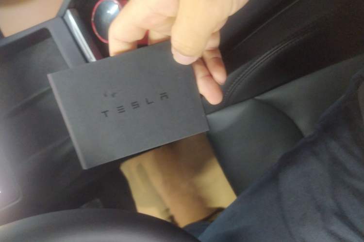Used Tesla Model 3 2023 Rear-Wheel-Drive Version Interior 1