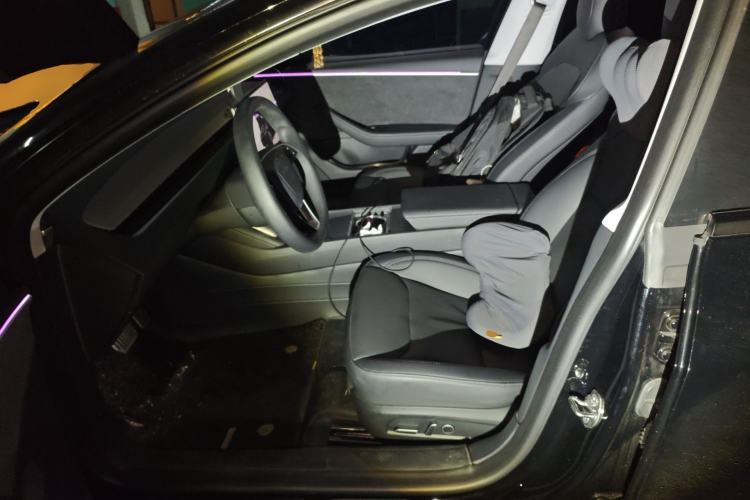 Used Tesla Model 3 2023 Long-Range All-Wheel-Drive Version Left Front Seat