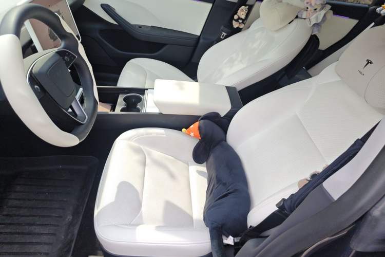 Used Tesla Model 3 2023 Rear-Wheel-Drive Version Left Front Seat
