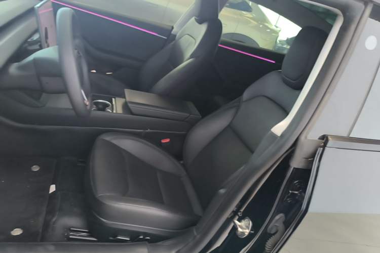 Used Tesla Model 3 2023 Long-Range All-Wheel-Drive Version Left Front Seat