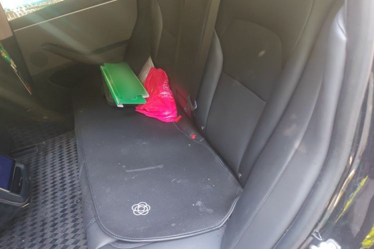 Used Tesla Model 3 2023 Rear-Wheel-Drive Version Left Rear Seat