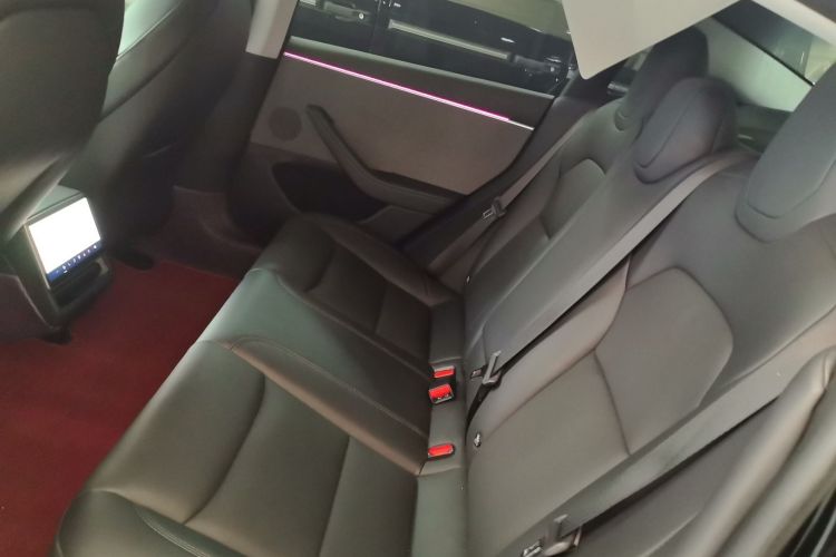 Used Tesla Model 3 2023 Rear-Wheel-Drive Version Left Rear Seat