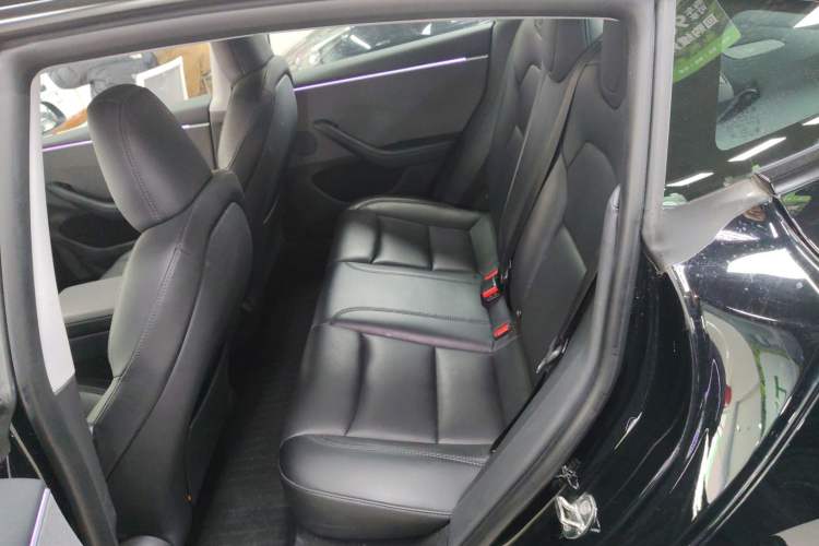 Used Tesla Model 3 2023 Rear-Wheel-Drive Version Left Rear Seat