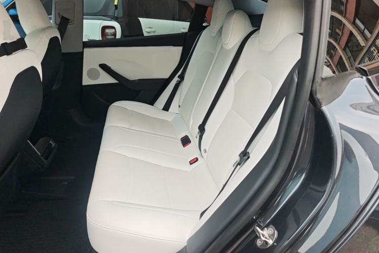Used Tesla Model 3 2023 Long-Range All-Wheel-Drive Version Left Rear Seat