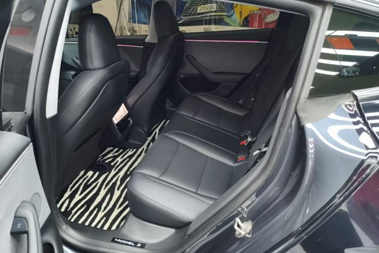 Used Tesla Model 3 2023 Rear-Wheel-Drive Version Left Rear Seat
