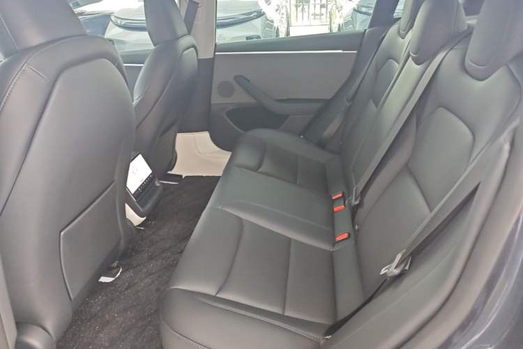 Used Tesla Model 3 2023 Rear-Wheel-Drive Version Left Rear Seat