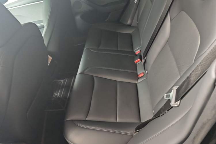 Used Tesla Model 3 2023 Rear-Wheel-Drive Version Left Rear Seat