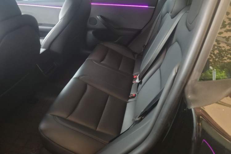 Used Tesla Model 3 2023 Rear-Wheel-Drive Version Left Rear Seat