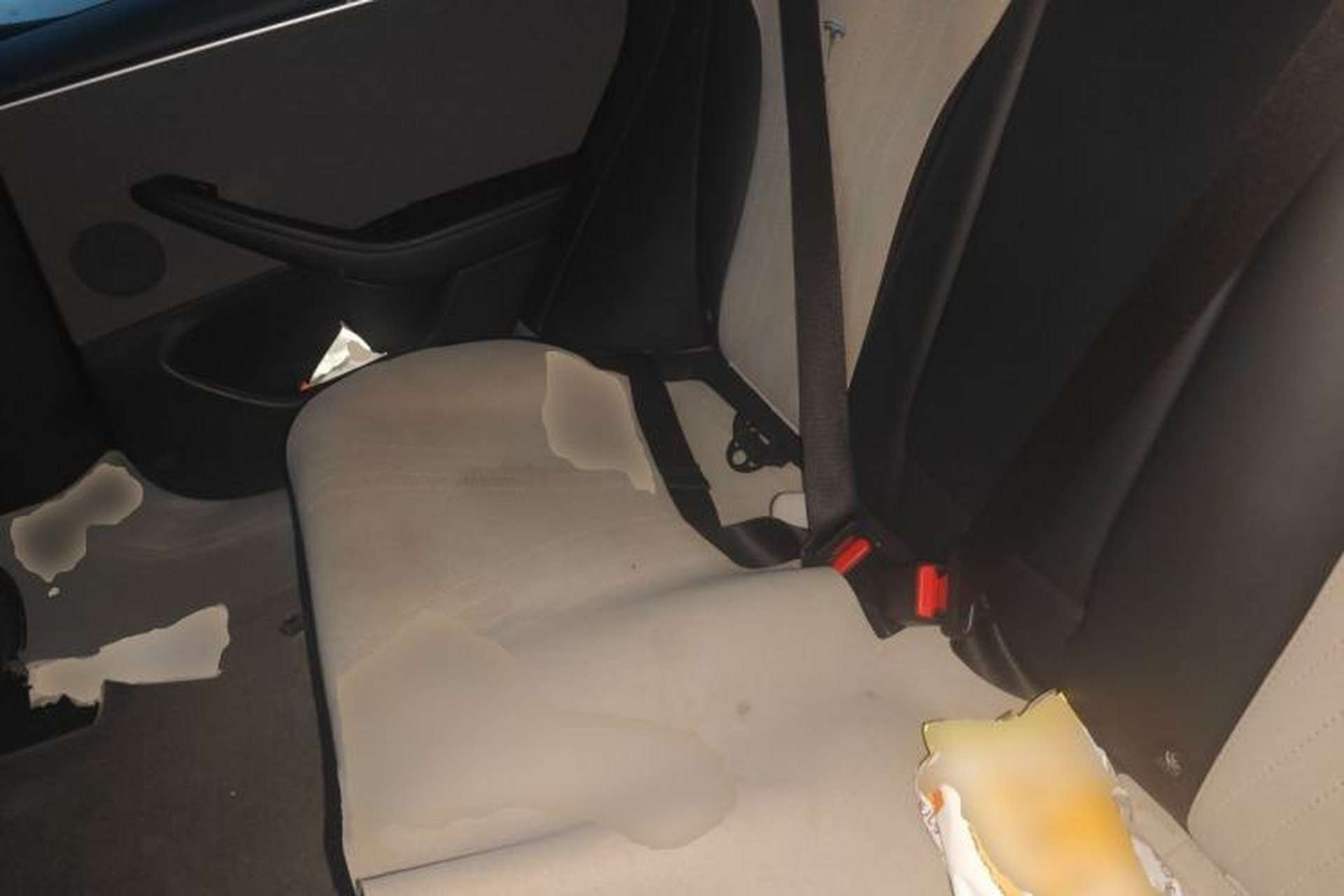 Used Tesla Model 3 2023 Rear-Wheel-Drive Version Left Rear Seat