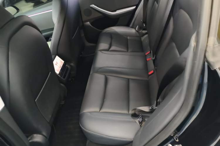 Used Tesla Model 3 2023 Rear-Wheel-Drive Version Left Rear Seat