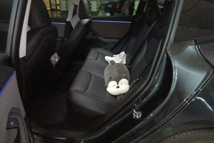 Used Tesla Model 3 2023 Rear-Wheel-Drive Version Left Rear Seat