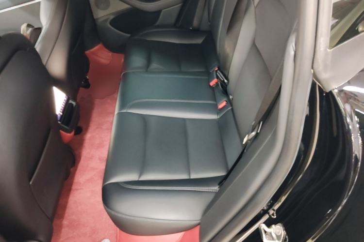 Used Tesla Model 3 2023 Rear-Wheel-Drive Version Left Rear Seat