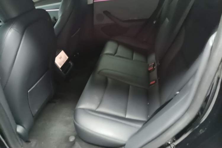 Used Tesla Model 3 2023 Rear-Wheel-Drive Version Left Rear Seat