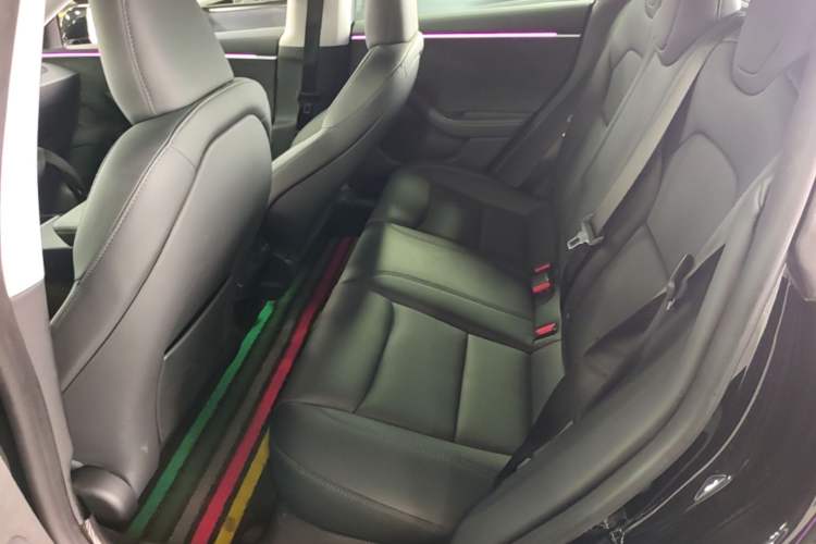 Used Tesla Model 3 2023 Long-Range All-Wheel-Drive Version Left Rear Seat