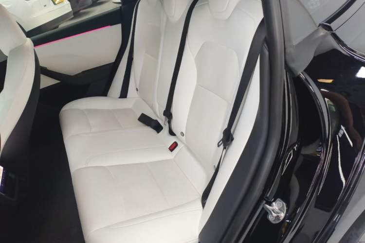 Used Tesla Model 3 2023 Rear-Wheel-Drive Version Left Rear Seat