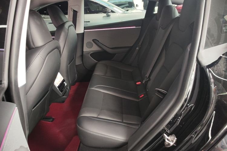 Used Tesla Model 3 2023 Rear-Wheel-Drive Version Left Rear Seat