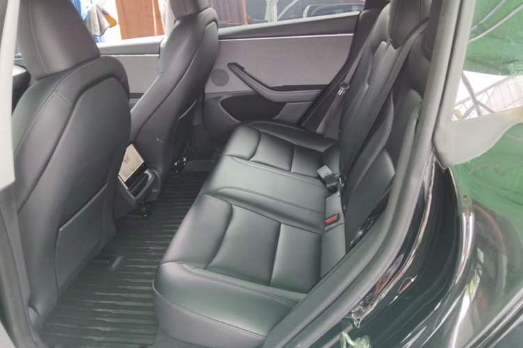 Used Tesla Model 3 2023 Rear-Wheel-Drive Version Left Rear Seat