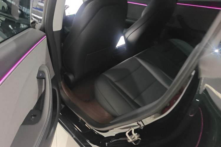 Used Tesla Model 3 2023 Rear-Wheel-Drive Version Left Rear Seat