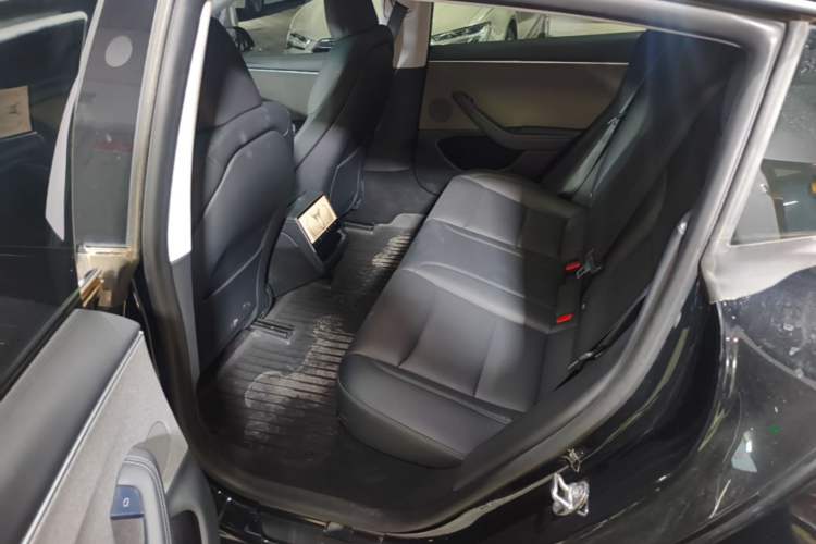 Used Tesla Model 3 2023 Rear-Wheel-Drive Version Left Rear Seat