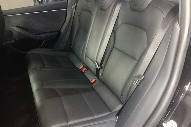 Used Tesla Model 3 2023 Long-Range All-Wheel-Drive Version Left Rear Seat