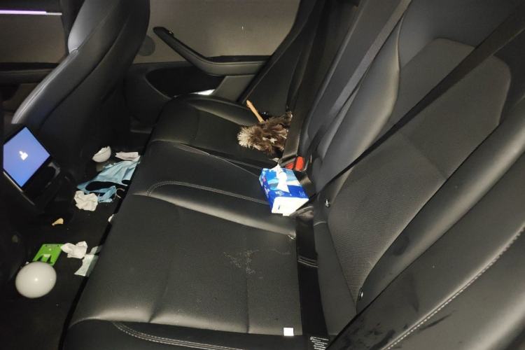 Used Tesla Model 3 2023 Rear-Wheel-Drive Version Left Rear Seat