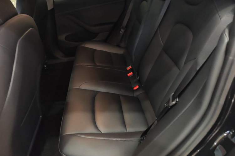 Used Tesla Model 3 2023 Rear-Wheel-Drive Version Left Rear Seat