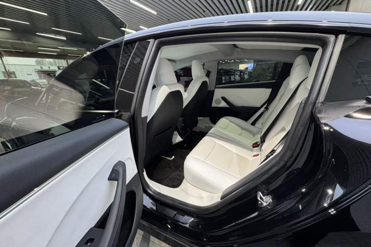 Used Tesla Model 3 2023 Long-Range All-Wheel-Drive Version Left Rear Seat