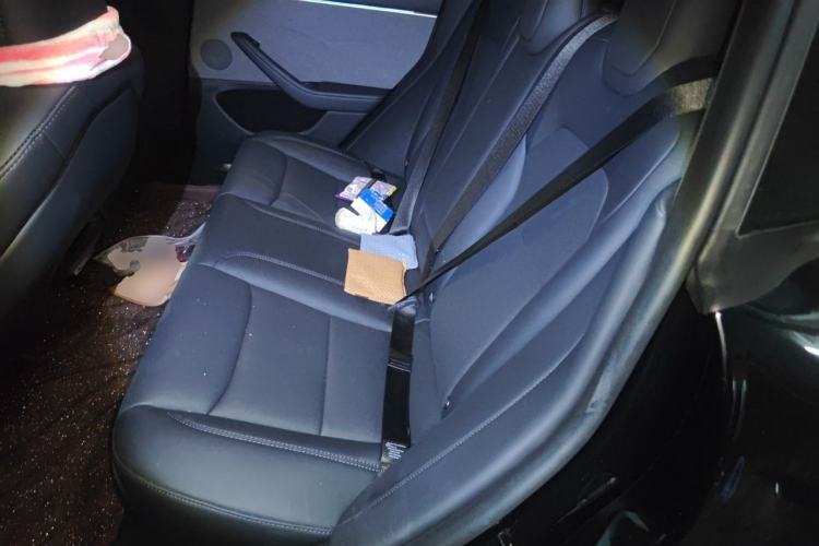 Used Tesla Model 3 2023 Rear-Wheel-Drive Version Left Rear Seat