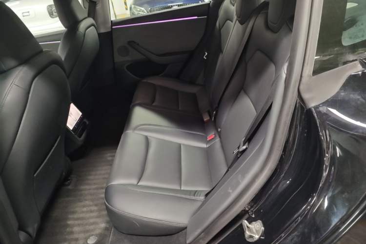 Used Tesla Model 3 2023 Rear-Wheel-Drive Version Left Rear Seat