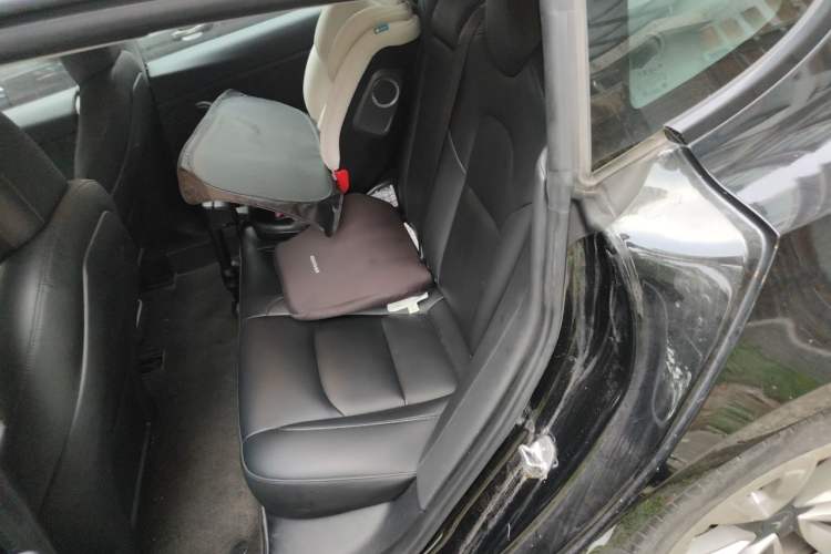 Used Tesla Model 3 2023 Rear-Wheel-Drive Version Left Rear Seat