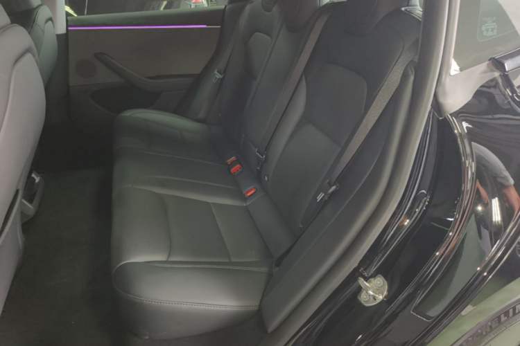 Used Tesla Model 3 2023 Rear-Wheel-Drive Version Left Rear Seat
