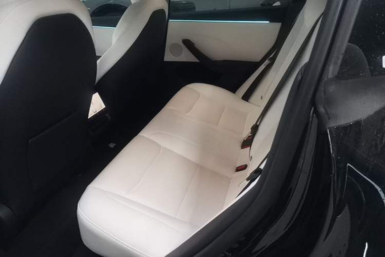 Used Tesla Model 3 2023 Long-Range All-Wheel-Drive Version Left Rear Seat