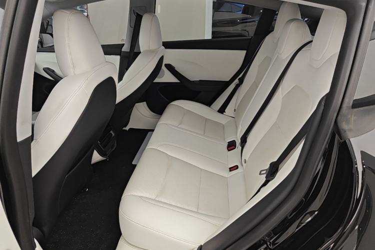 Used Tesla Model 3 2023 Rear-Wheel-Drive Version Left Rear Seat