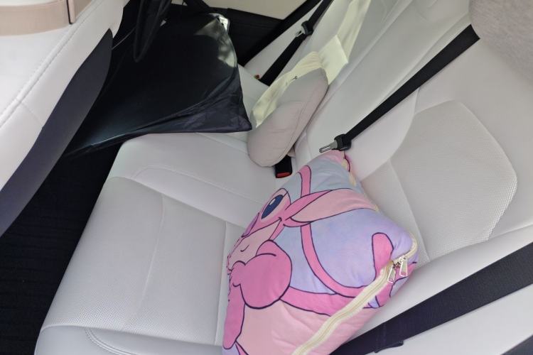 Used Tesla Model 3 2023 Rear-Wheel-Drive Version Left Rear Seat