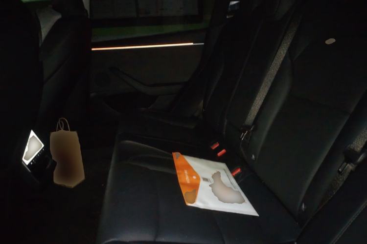Used Tesla Model 3 2023 Long-Range All-Wheel-Drive Version Left Rear Seat