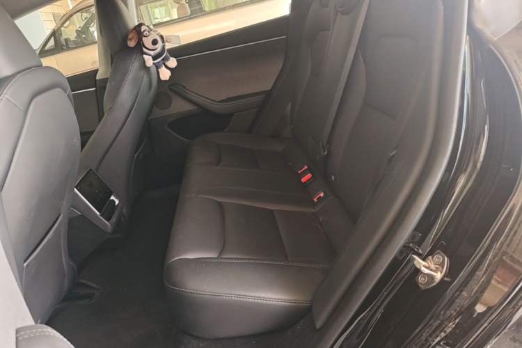 Used Tesla Model 3 2023 Rear-Wheel-Drive Version Left Rear Seat