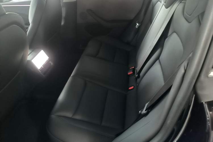 Used Tesla Model 3 2023 Rear-Wheel-Drive Version Left Rear Seat
