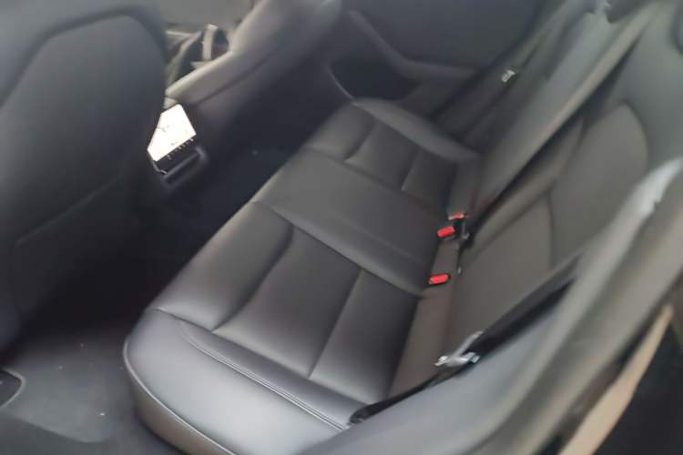 Used Tesla Model 3 2023 Long-Range All-Wheel-Drive Version Left Rear Seat