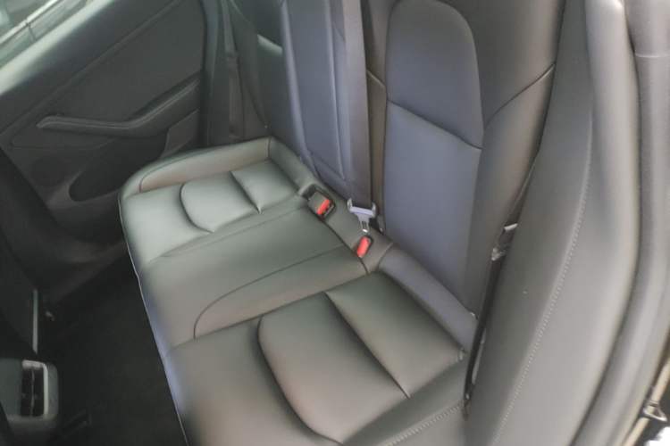 Used Tesla Model 3 2023 Rear-Wheel-Drive Version Left Rear Seat