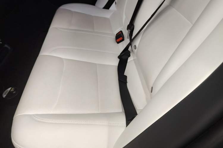 Used Tesla Model 3 2023 Rear-Wheel-Drive Version Left Rear Seat