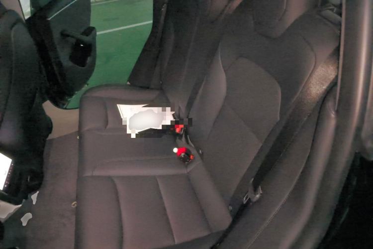 Used Tesla Model 3 2023 Long-Range All-Wheel-Drive Version Left Rear Seat