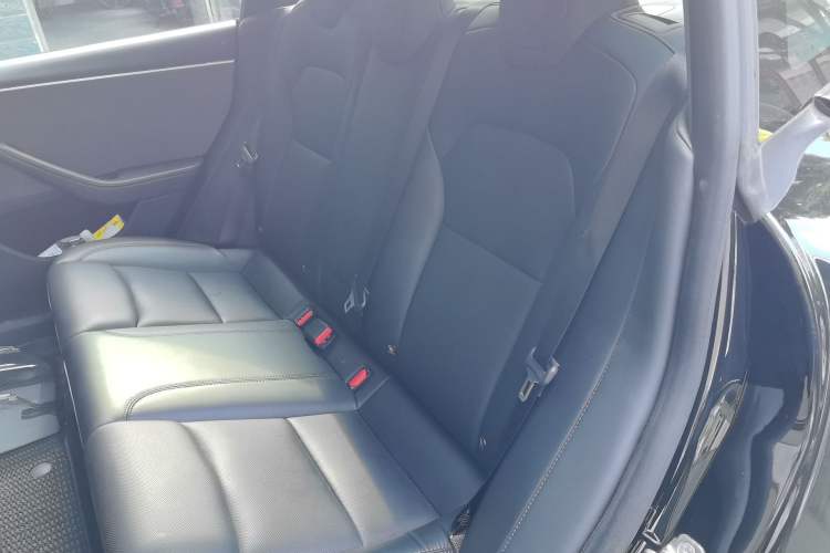 Used Tesla Model 3 2023 Rear-Wheel-Drive Version Left Rear Seat